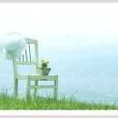 약초이야기 이미지