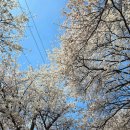 상서재1로 이미지