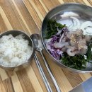 명량주막 | 해남 우수영관광지 맛집 "명량주막식당" 갓 잡은 숭어로 회 덮밥을!?