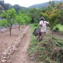 서당골 농장 이미지