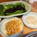 구울래머글래 Daum카페