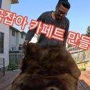 곰잡아서 무두질 한후 카페트 만들기 이미지