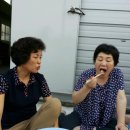 윤자농장 Daum카페