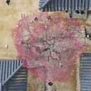 화엄사1로 이미지