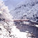 건계정 이미지