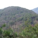 신송산3구 Daum카페