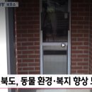 보듬펫 | 차가운 철장 대신 자유를 : 전주 유기동물보듬쉼터와 함께한 타비오 펫도어 설치 후기