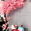 호텔M타워 | 김포 엠타워호텔 번화가 중심지 디럭스테라스 2pc 안마의자 가볍게 즐기는 호캉스 내돈내산 솔직후기