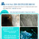 (주)옥샘코리아 네이버블로그