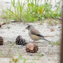 부리보건지소 이미지