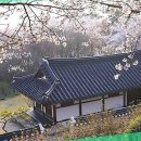 청주우리지역아동센터 | 청주 입주청소, 완벽한 새출발의 첫걸음