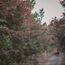 화흥농장 이미지