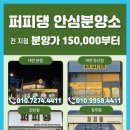 퍼피댕 강아지분양 안심분양소 청주점 말티푸미니비숑토이푸들 이미지