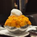 역삼1-111 | 8월 청첩장모임 장소 후기 | 잠실 피에프창 / 코엑스 플랜튜드 / 역삼 로즈힐 /신사 신사고집 / 압구정...