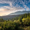 새천년생명의숲 이미지