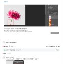 맛디 스터디 16기(24.11.25.~25.1.5.)후기