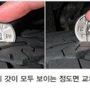 아이언게러지 네이버블로그