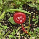 뮤지엄 한미 삼청 - 포토북 속의 매그넘 과제(2025100081 나건희) 이미지