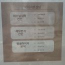 비비주얼리 | 울산퍼스널컬러 신정동 페이스비비 후기