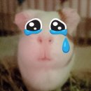 행복한들 | 내돈내산 효창공원 기사식당 5곳 효공붕어빵 3대붕어빵 웨이팅 행복한 떡집 후기