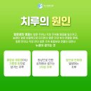 위대항의원 이미지