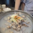 회현집 | (내돈내산) 전북 군산 나운동 술집) '회현집' 다녀온 솔직후기!