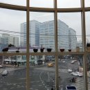 성베드로한방병원 이미지