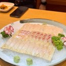 대륙회초밥