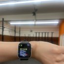 크로스핏 코알라 이미지