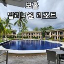 드루와닭강정 | 보홀 여행 가성비 리조트 숙소 후기 #3 :: 치명적 단점은 한식 맛집으로 극복(말리나원,꽃분식)