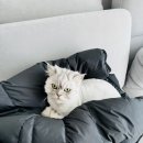 튼튼이농장 이미지