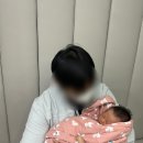스위트여관 | 로즈마리 산후조리원 13박 14일 스위트룸 후기