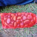 덕지농장 이미지