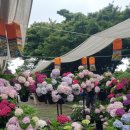 꽃길민박 이미지