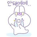 댕댕이미용실 이미지