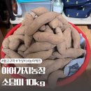 소담미 | 꿀고구마 추천 가성비 좋은 아어가지농장 소담미 한입사이즈 후기