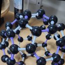 그리다 플러렌 이미지