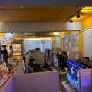 나니아 플스방 이미지