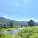 지성노인요양센터 이미지