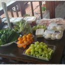 우리집펜션 이미지