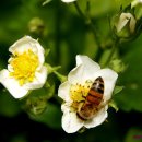 풍경(오월의 이야기 이미지