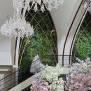 더링크호텔5M 이미지