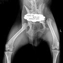 강산동물병원 이미지