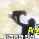 오늘도 편안하개 이미지