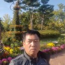 국화공원 이미지