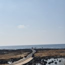 일과1리경로당 | 제주 서귀포 바다기찻길 포토존 위치 꿀팁 주차 물때 정보