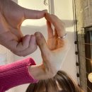 탄중로221번길 이미지