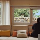 스테이소소헌 이미지