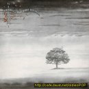 Genesis-Blood on the Rooftops(1976) 이미지