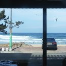 남애항 해녀횟집 이미지